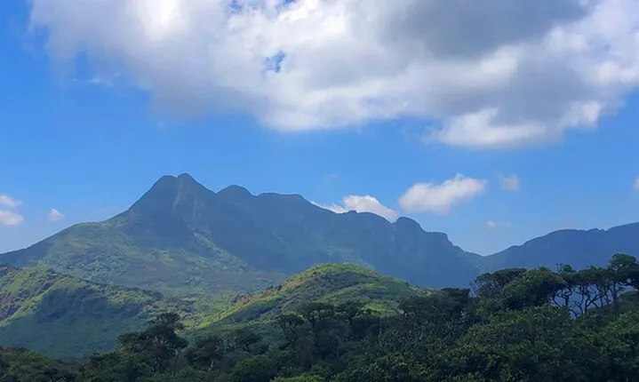 Knuckles Mountain Hiking