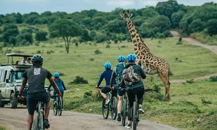 Arusha National Park E-Bike Safari Day trip