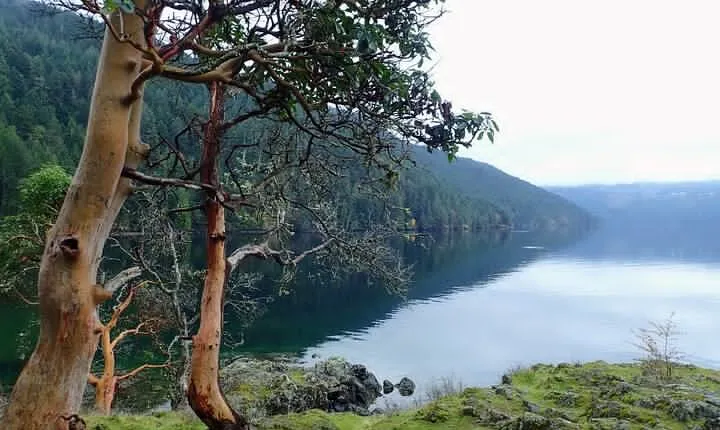 Private Half-Day Guided Nature Hike in Victoria, BC