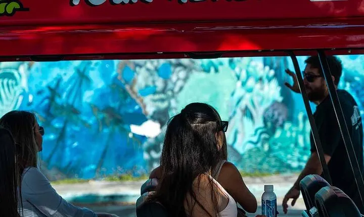 Wynwood Walls Admission and Neighborhood Buggy Experience