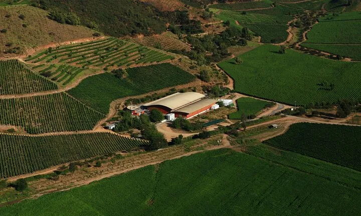 Private San Antonio Port, visit Chocalan Winery & Transfer Hotel