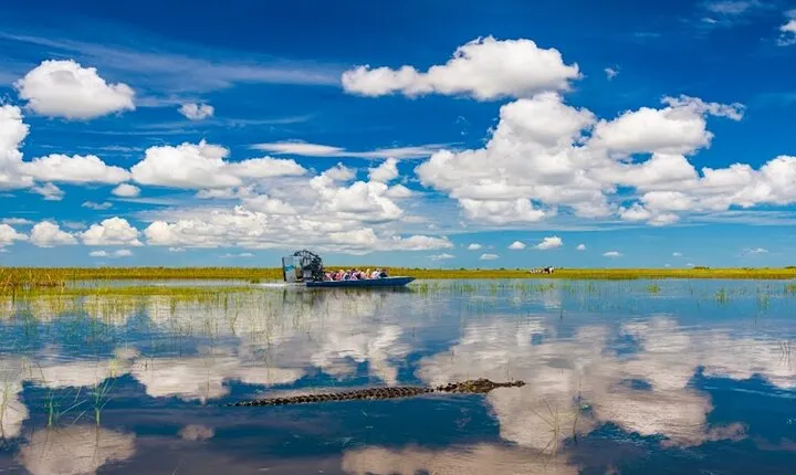 Everglades Small Group Express from Fort Lauderdale +Airboat Ride