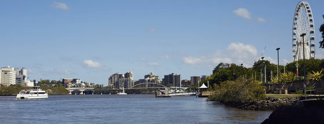 Koala and river cruise