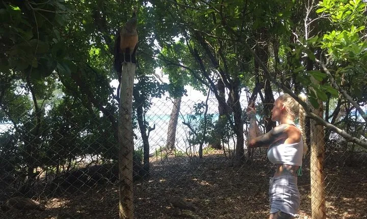 Prison Island, Nakupenda Beach and Stone Town Private Tour | Seafood buffet