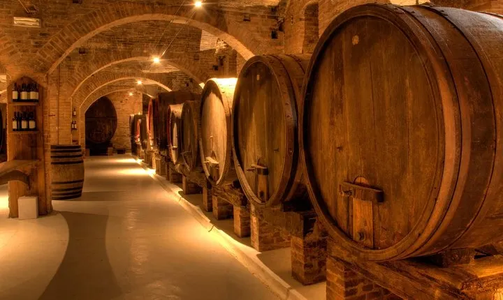 Primitivo and Negroamaro wine tour: a visit to two wineries and typical lunch. From Lecce