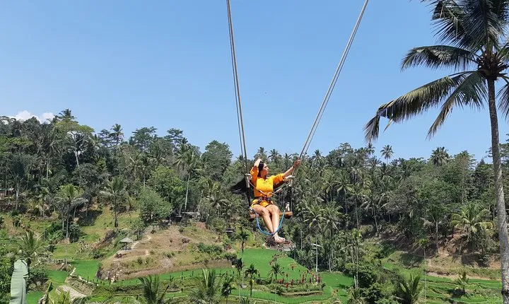 Ubud Swing, Water Temple and Waterfall Tour