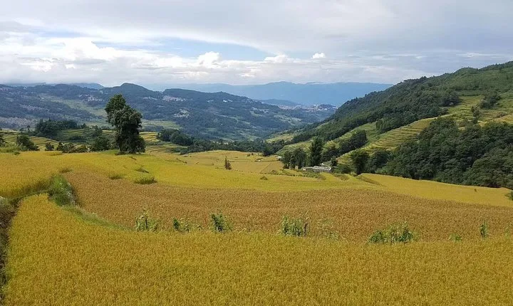 Private Overnight Tour to Yuanyang Rice Terraces from Kunming