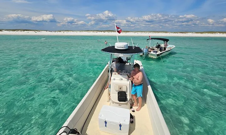4 Hour Eco Dolphin Tour in Panama