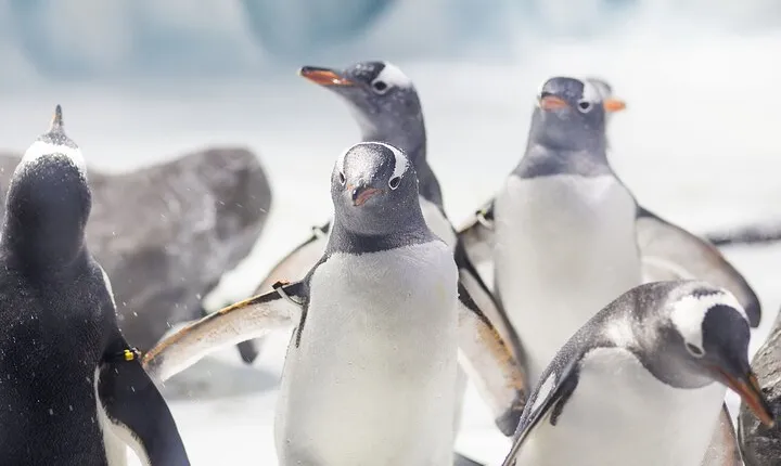 SEA LIFE Konstanz Admission Ticket