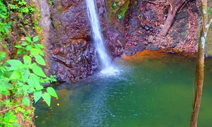 Ten Waterfalls Off-road