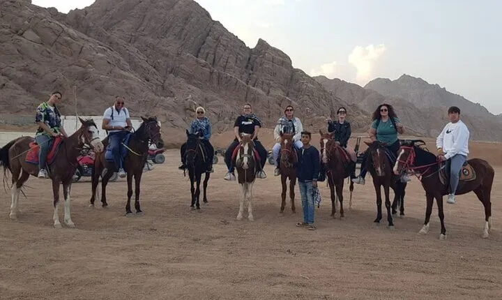 2 Hour Horse Riding Through the Sinai Desert – Sharm El Sheikh