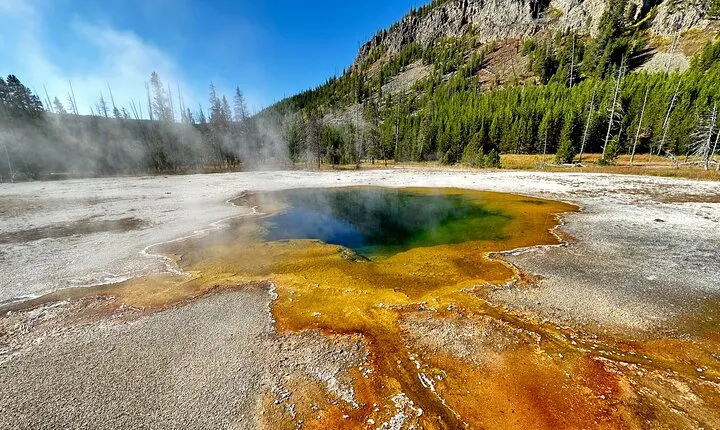 Yellowstone Lower Loop Full-Day Tour