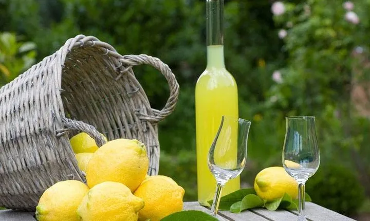 The Gastronomic Tour: Limoncello, Olive Oil and Wine Tasting with Lunch 
