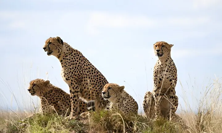 A Day Trip to Ngorongoro Crater