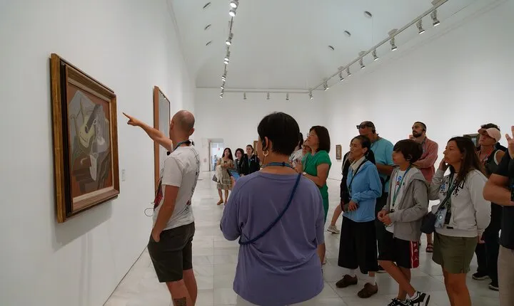 Cultural Madrid Reina Sofia Museum and Walking Tour