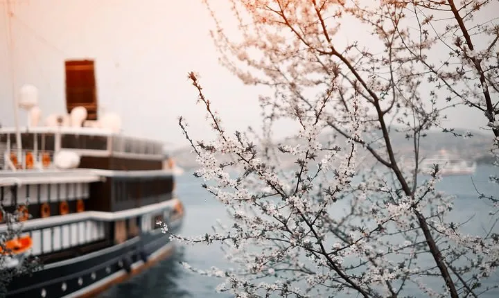 Private Transfer: Vienna to River Cruise Dock Nuremberg - Port/Harbor transport