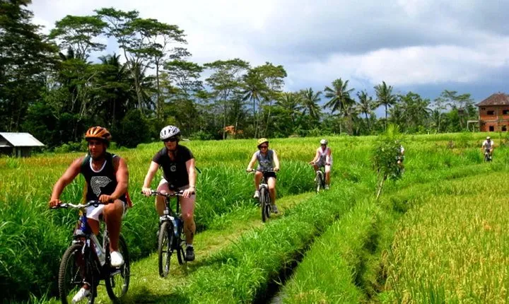 Ubud Cycling In bali all Inclusive
