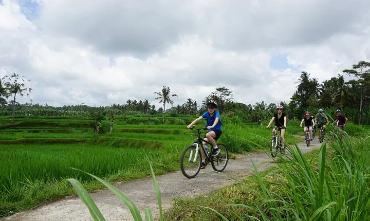 Kintamani Cultural and Nature Cycling Tour