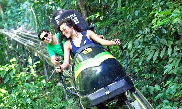 Jamaica Bobsled Adventure Tour from Port Antonio