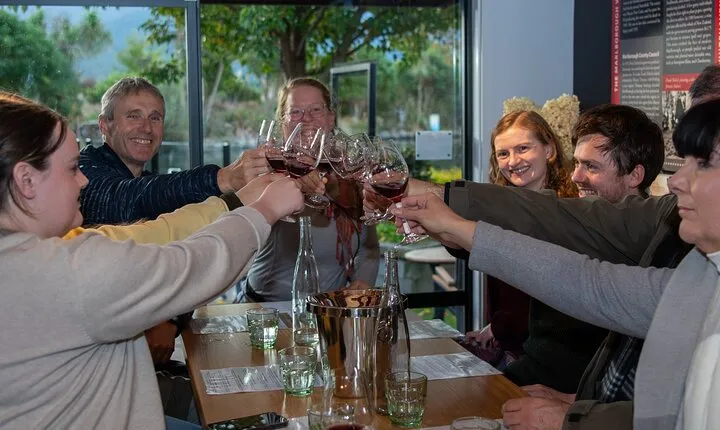 Full-Day Marlborough Wine Tour Including Wine Tasting