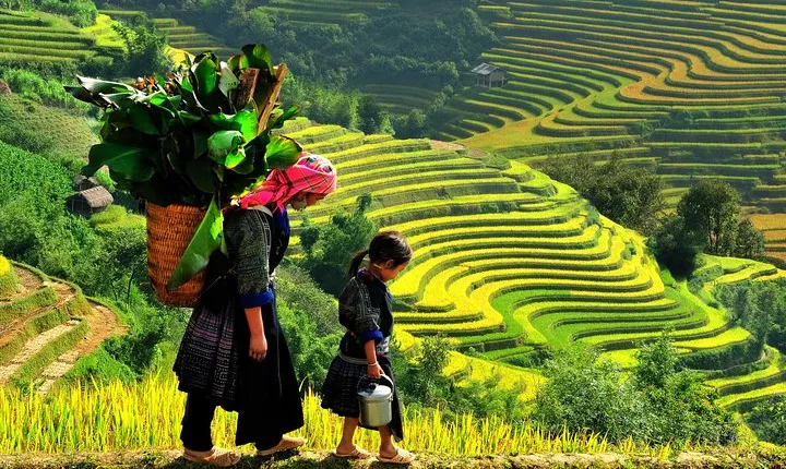 Sapa Trekking 2 Days 1 Night