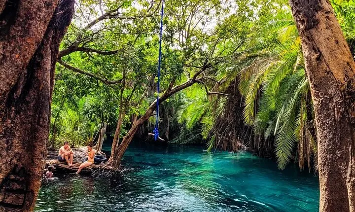 Chemka Hotsprings and Serval wildlife Private Day Trip