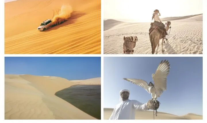 Desert Safari and Inland Sea(Private Tour)