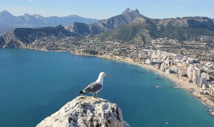 Alicante Like a Local: Customized Private Tour