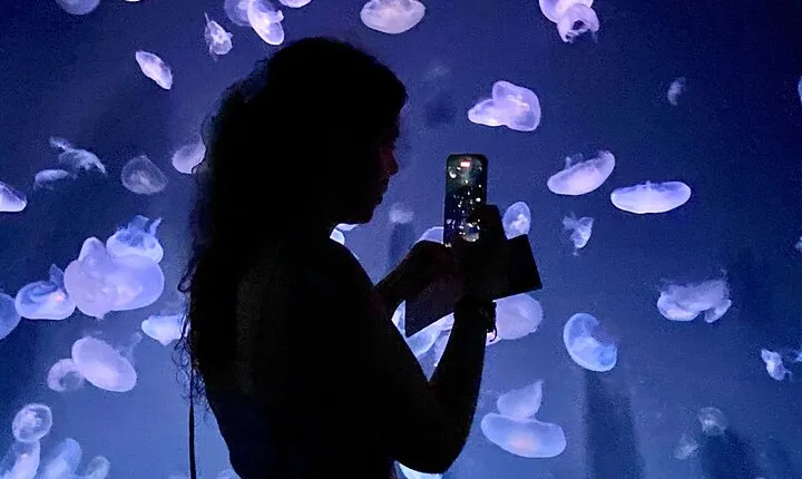 Tokyo, Aquarium Backyard Tour and View Observatory in Ikebukuro