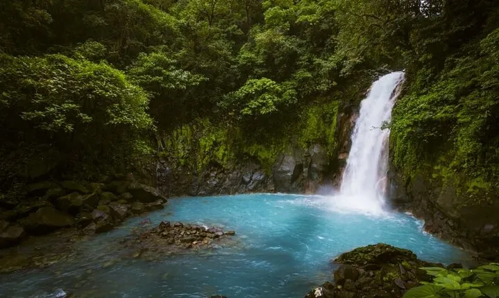 Rio Celeste and Tenorio National Park Hike