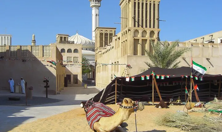 Dubai SIC Half Day Tour 