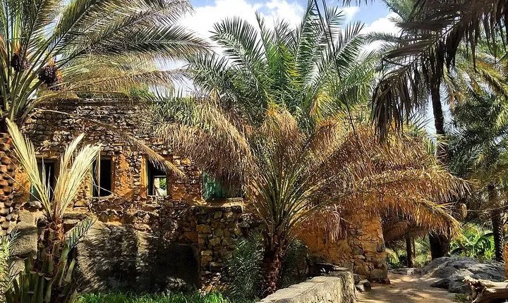 Nizwa Al Hamra & Misfah