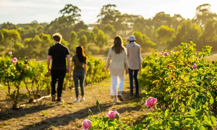 Jurlique Farm Tour