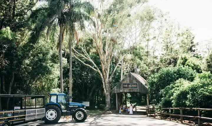 Tropical Fruit World Farm Full Tour