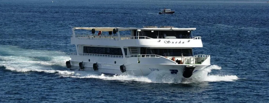 Bosphorus cruise, Dolmabahce Palace and Two Continents tour