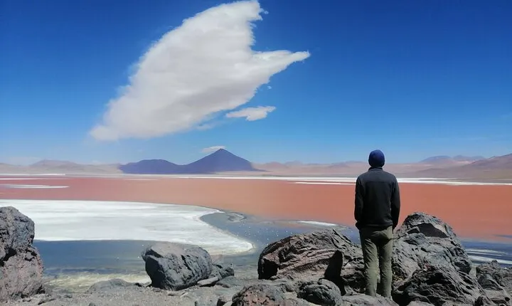 Private Full Day Tour to Red Lagoon and Lipez Region From Uyuni