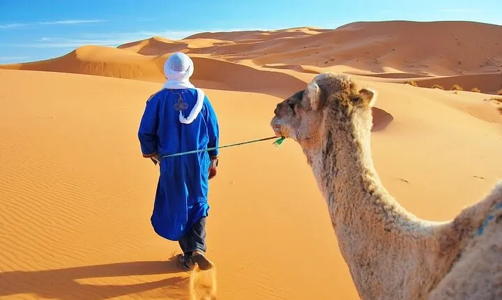 Tangier 3 Hours Sightseeing & Camel ride