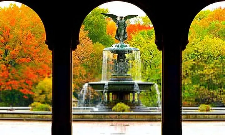Central Park Experience: Scenic & Historical Walking Tour