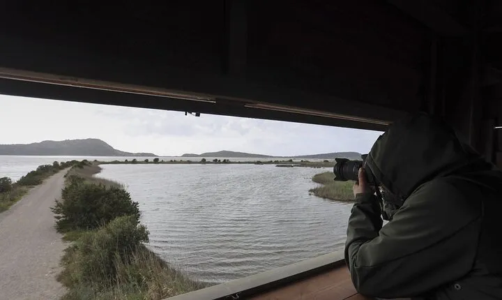 Bird Photography in the Gialova Lagoon