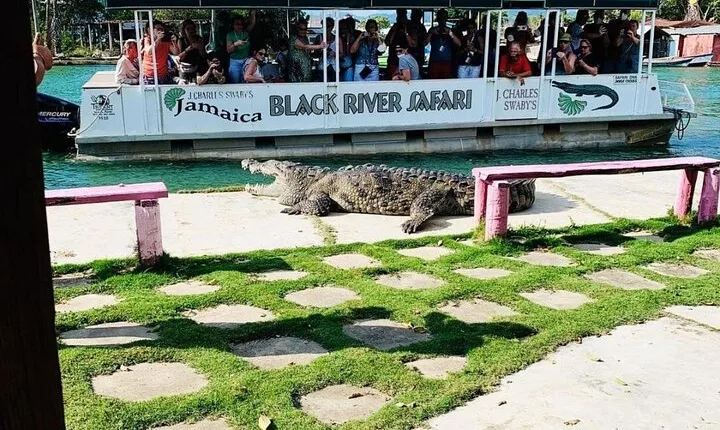 Black River Safari and Floyd Pelican Bar Tour from Montego Bay