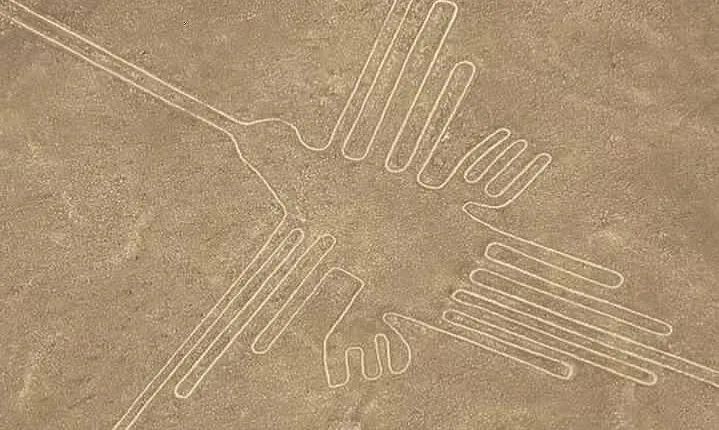 The Nazca Lines, Paracas & Huacachina Oasis (2D/1N) Private Trip