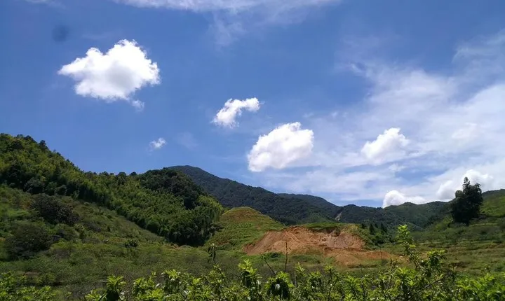 Private Hiking Day Tour around Xitou Village from Guangzhou