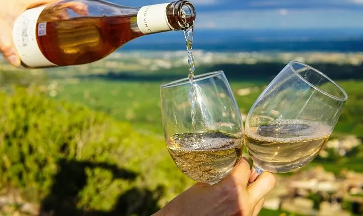 Private Wine Tasting Tour in Chablis Burgundy from Paris