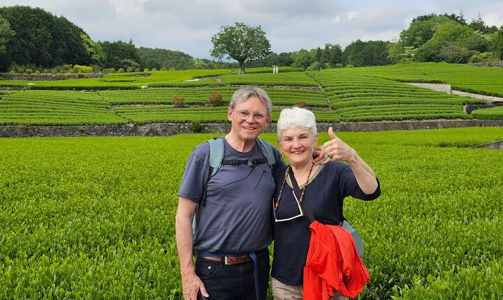 Mount Fuji E-Bike Tour: Explore Nature and History