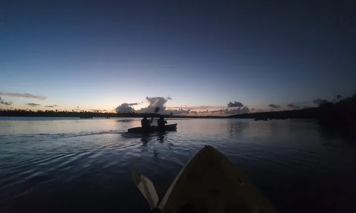 Night Kayaking Experience on Bioluminescent Lagoon in Fajardo