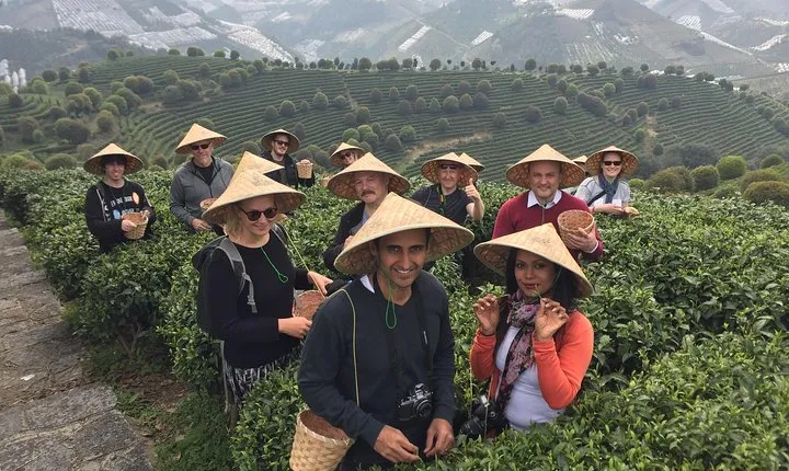 Private Tour-Yangshuo Seven Fairies Peak tea plantation and Xianggong hill