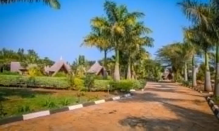 3 Days Tanzania Classic Adventure