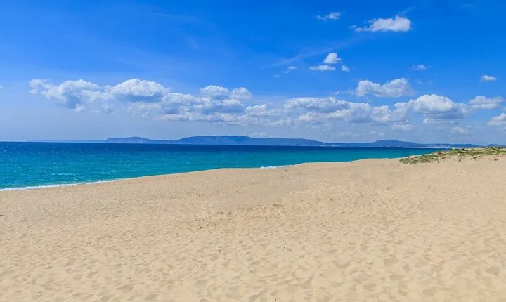 Private transfer: Comporta and Troia