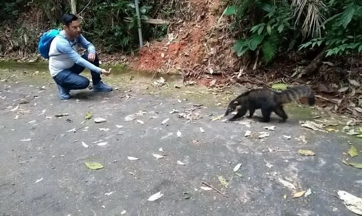Tijuca Forest National Park
