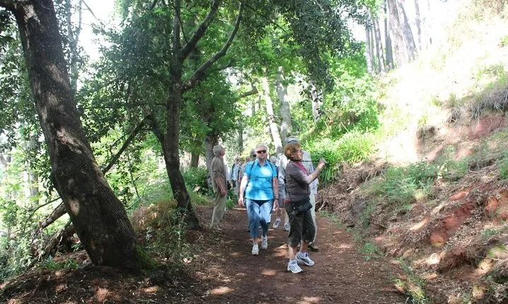 Vale Paraíso - Rochão (Half Day Walk)